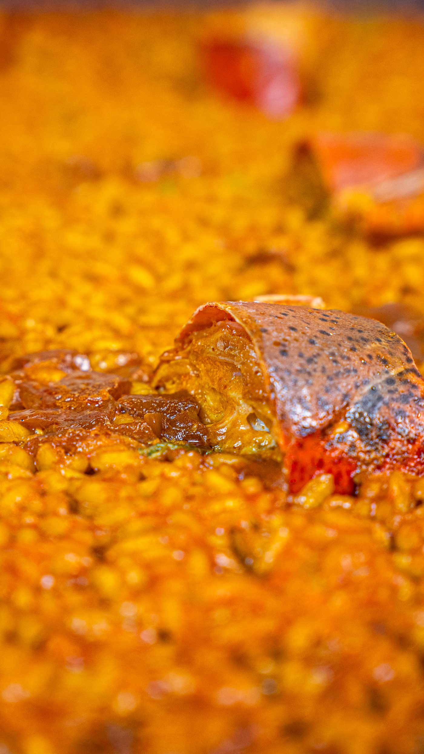 Detalle de bogavante en el arroz